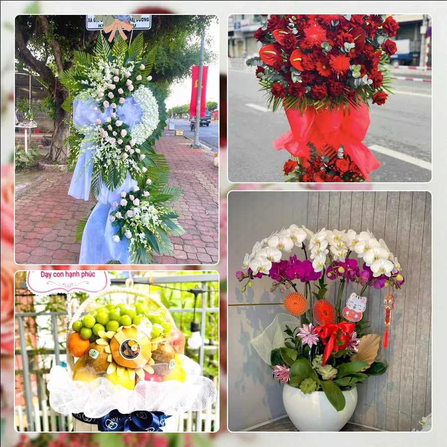 Shop Hoa Tươi Phường Gia Định - Thành phố Hồ Chí Minh
