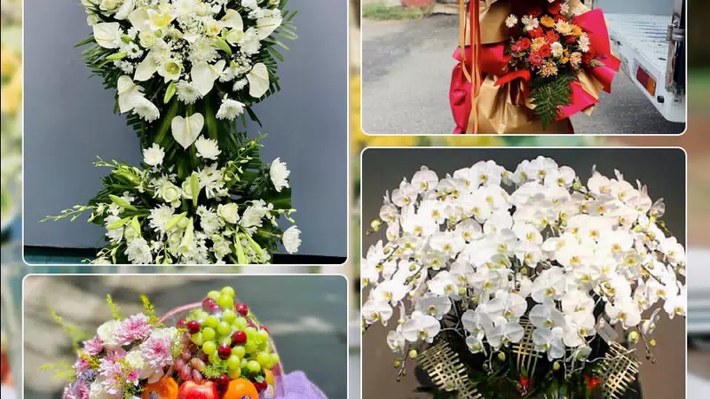 Shop Hoa Tươi Phường Lê Chân - Thành phố Hải Phòng