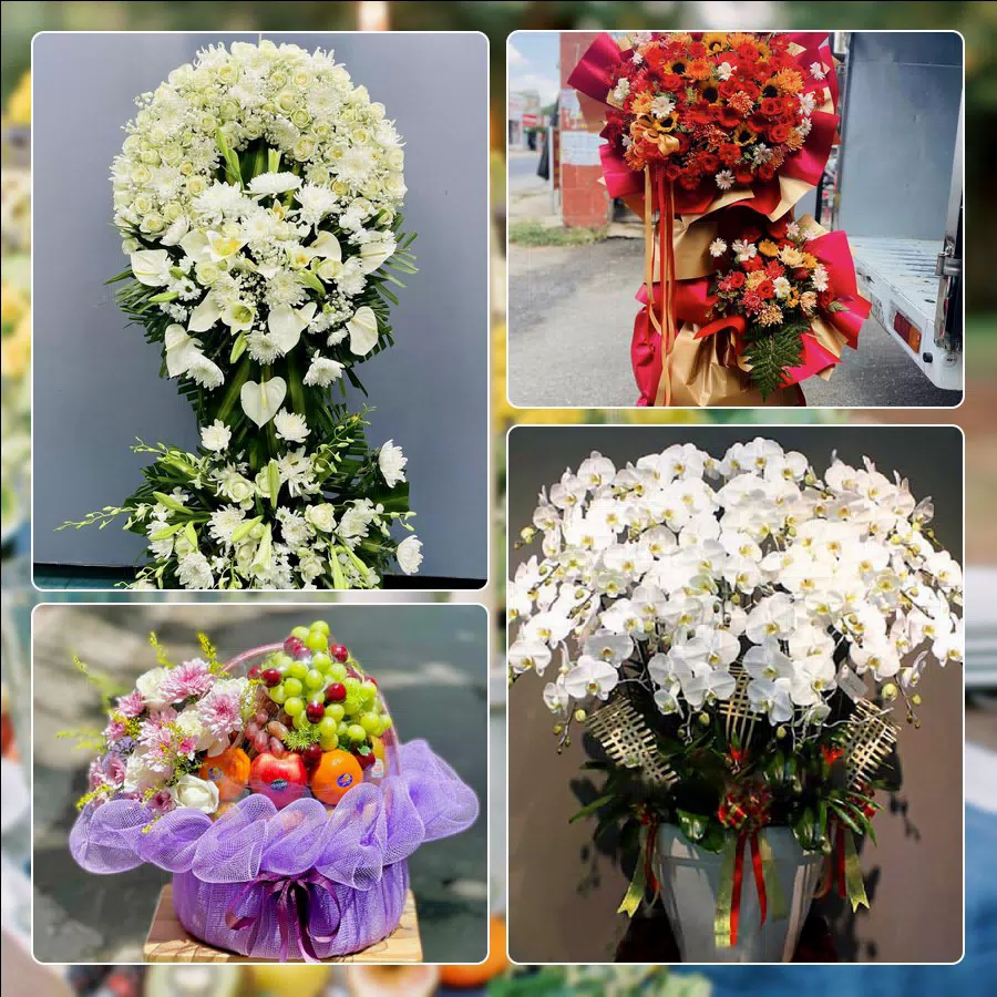 Shop Hoa Tươi Phường Lê Chân - Thành phố Hải Phòng