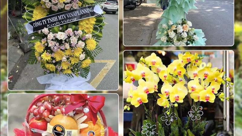Shop Hoa Tươi Phường Hà Đông - Thành phố Hà Nội