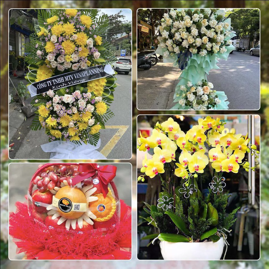 Shop Hoa Tươi Phường Hà Đông - Thành phố Hà Nội