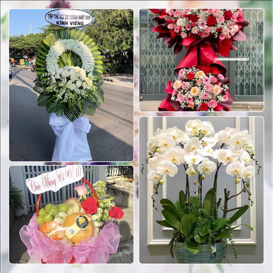 Mẫu hoa tươi cắm mới tại shop hoa Phường Bình Trị Đông