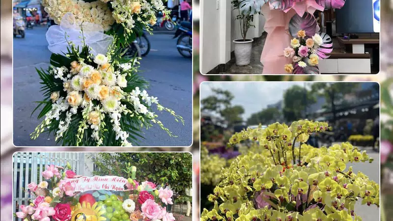 Shop Hoa Tươi Phường Hạnh Thông - Thành phố Hồ Chí Minh