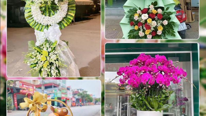Shop Hoa Tươi Phường An Lạc - Thành phố Hồ Chí Minh