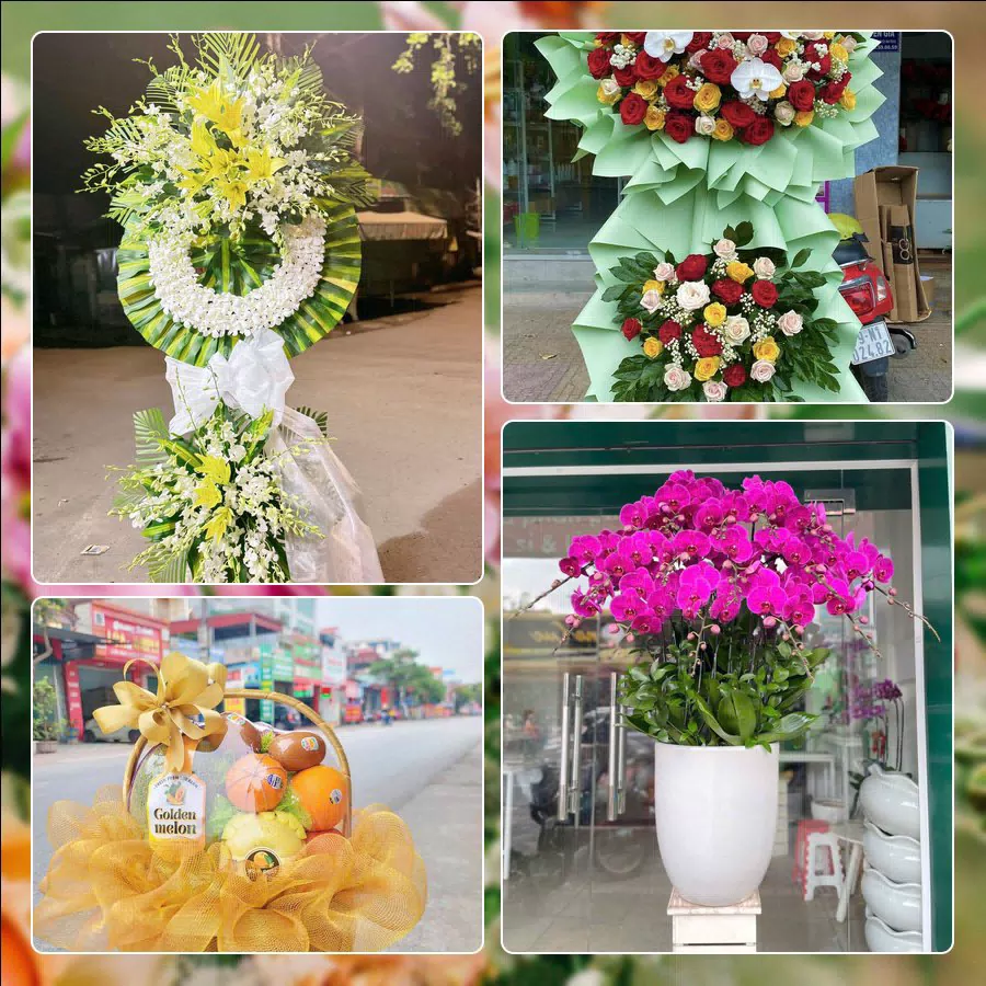 Shop Hoa Tươi Phường An Lạc - Thành phố Hồ Chí Minh