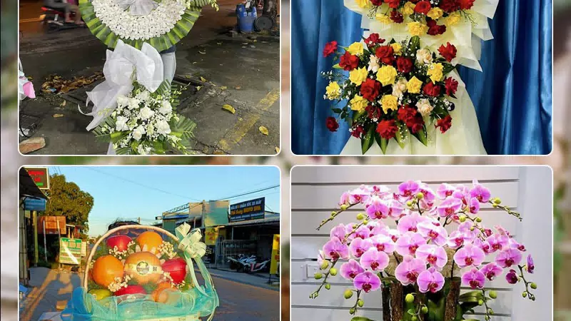 Shop Hoa Tươi Phường Tăng Nhơn Phú - Thành phố Hồ Chí Minh