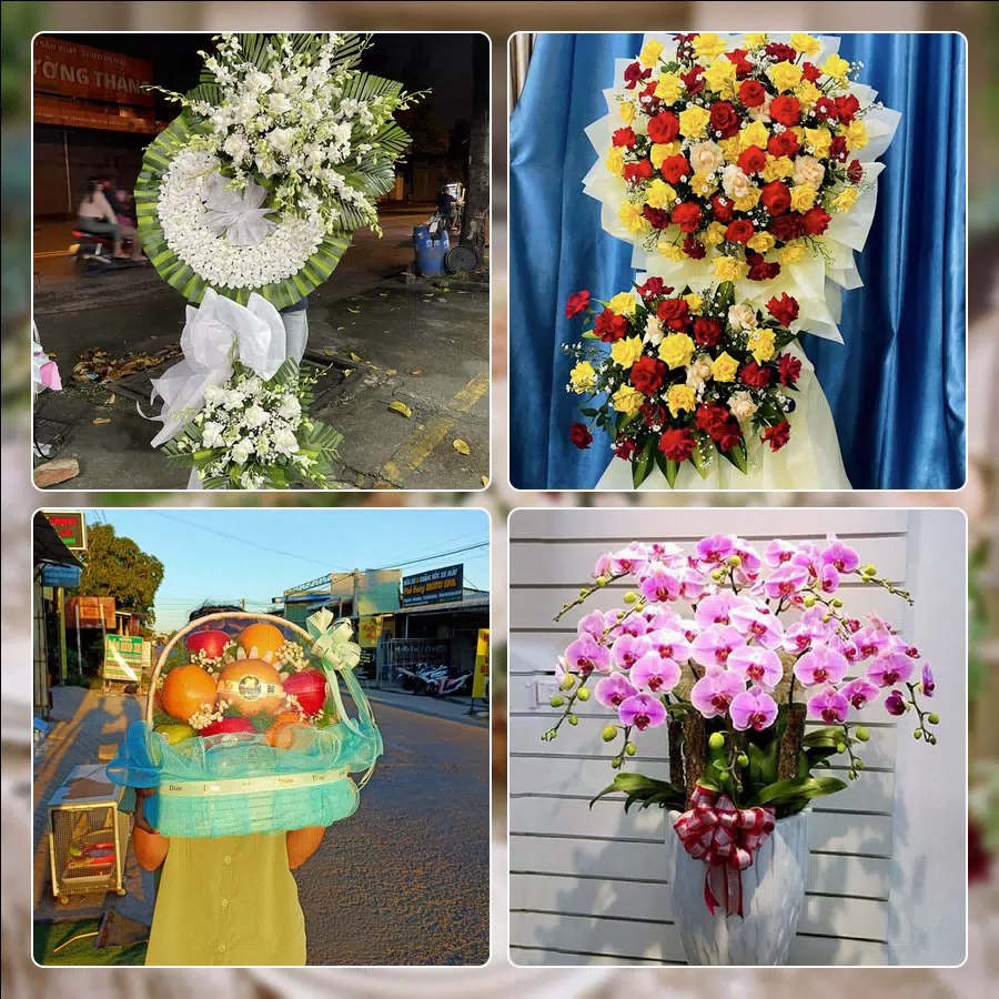 Shop Hoa Tươi Phường Tăng Nhơn Phú - Thành phố Hồ Chí Minh
