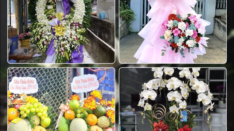 Shop Hoa Tươi Phường Thông Tây Hội - Thành phố Hồ Chí Minh