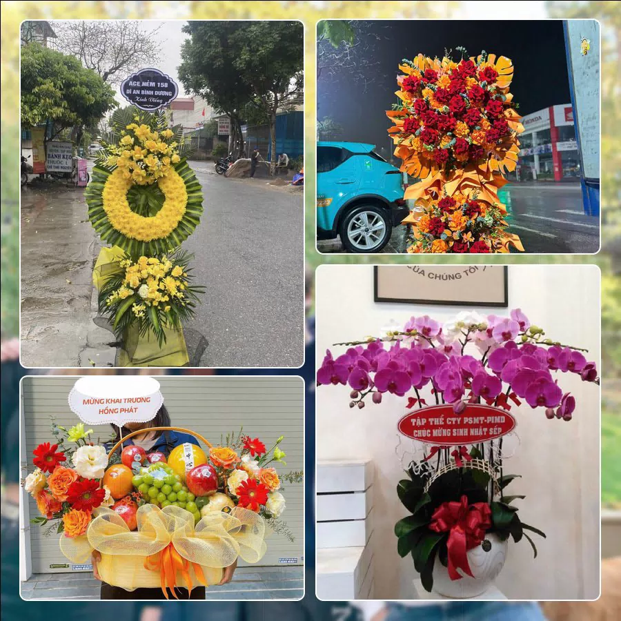 Shop Hoa Tươi Phường Vườn Lài - Thành phố Hồ Chí Minh