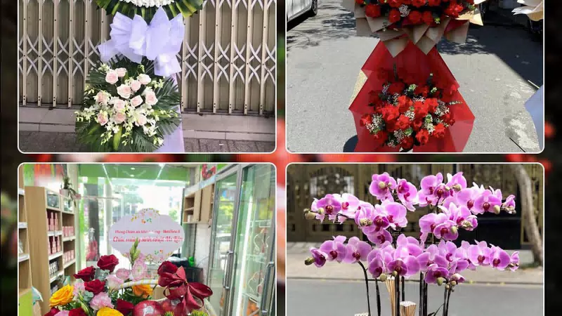 Shop Hoa Tươi Phường Văn Miếu - Quốc Tử Giám - Thành phố Hà Nội