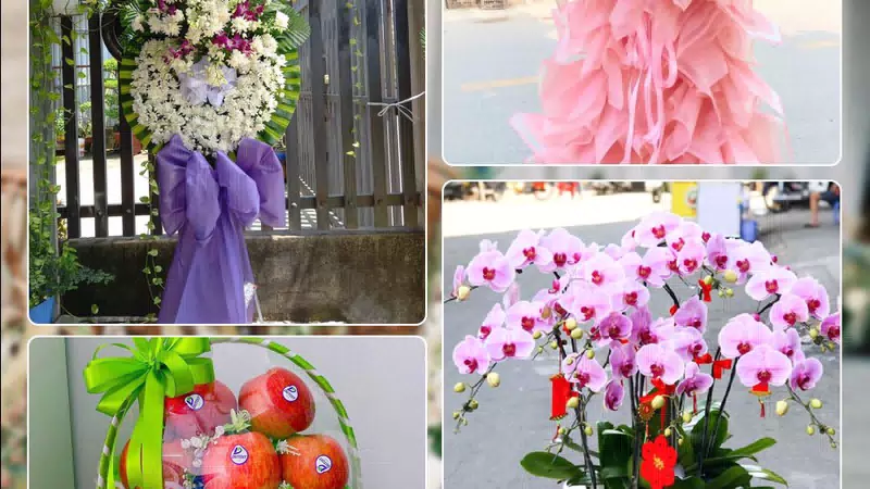 Shop Hoa Tươi Phường An Phú Đông - Thành phố Hồ Chí Minh