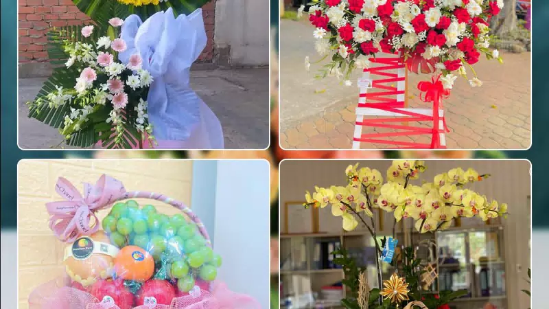 Shop Hoa Tươi Phường An Hội Tây - Thành phố Hồ Chí Minh