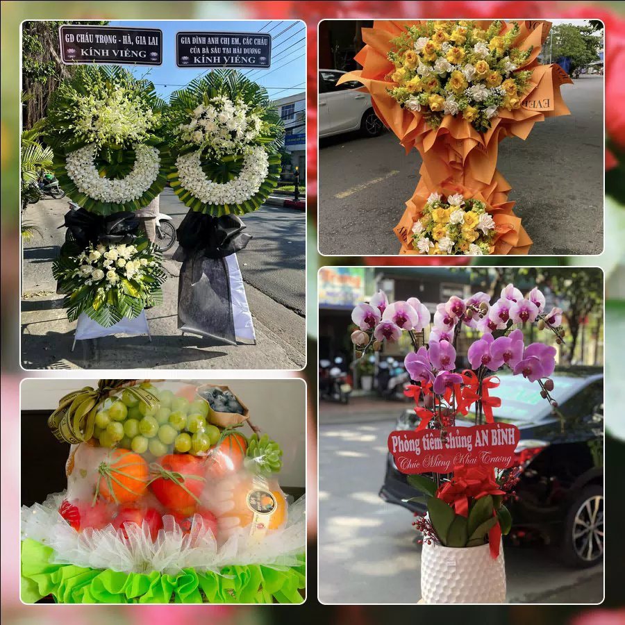 Shop Hoa Tươi Phường Tam Bình - Thành phố Hồ Chí Minh