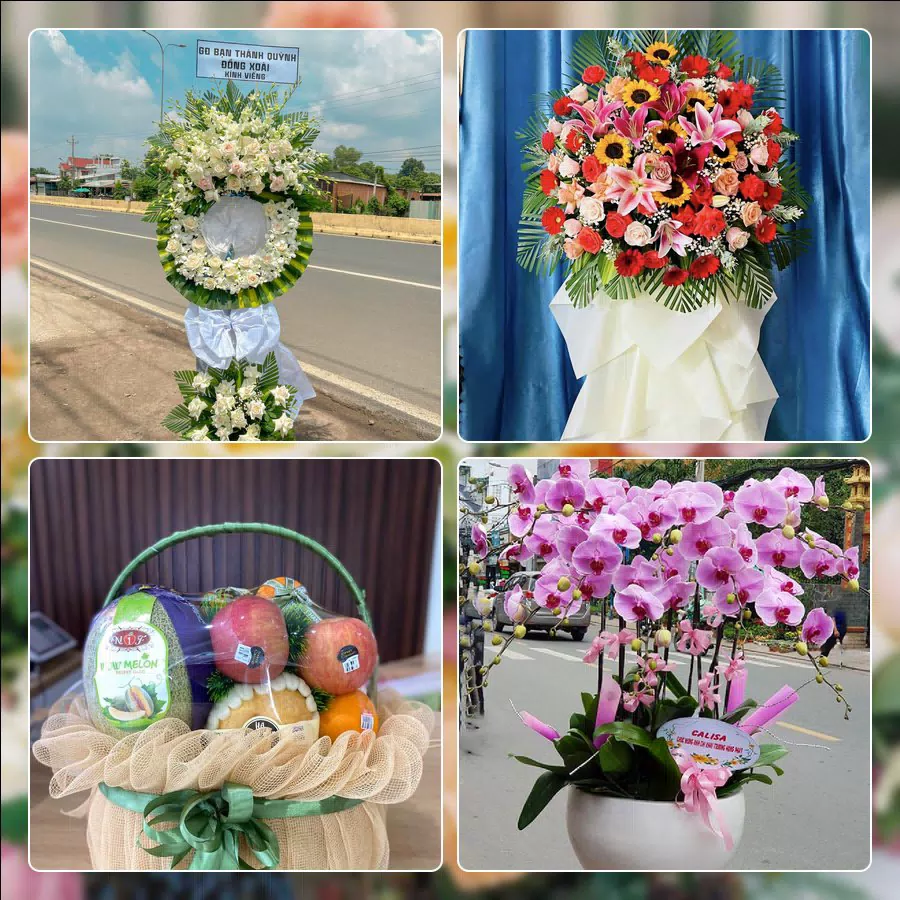 Shop Hoa Tươi Phường Gò Vấp - Thành phố Hồ Chí Minh
