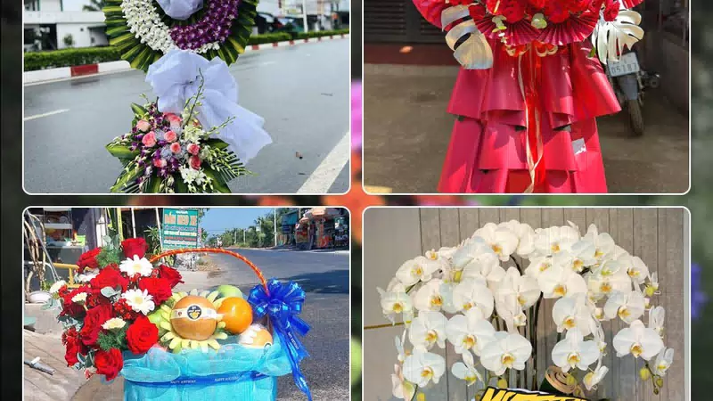 Shop Hoa Tươi Phường Tân Sơn Nhì - Thành phố Hồ Chí Minh