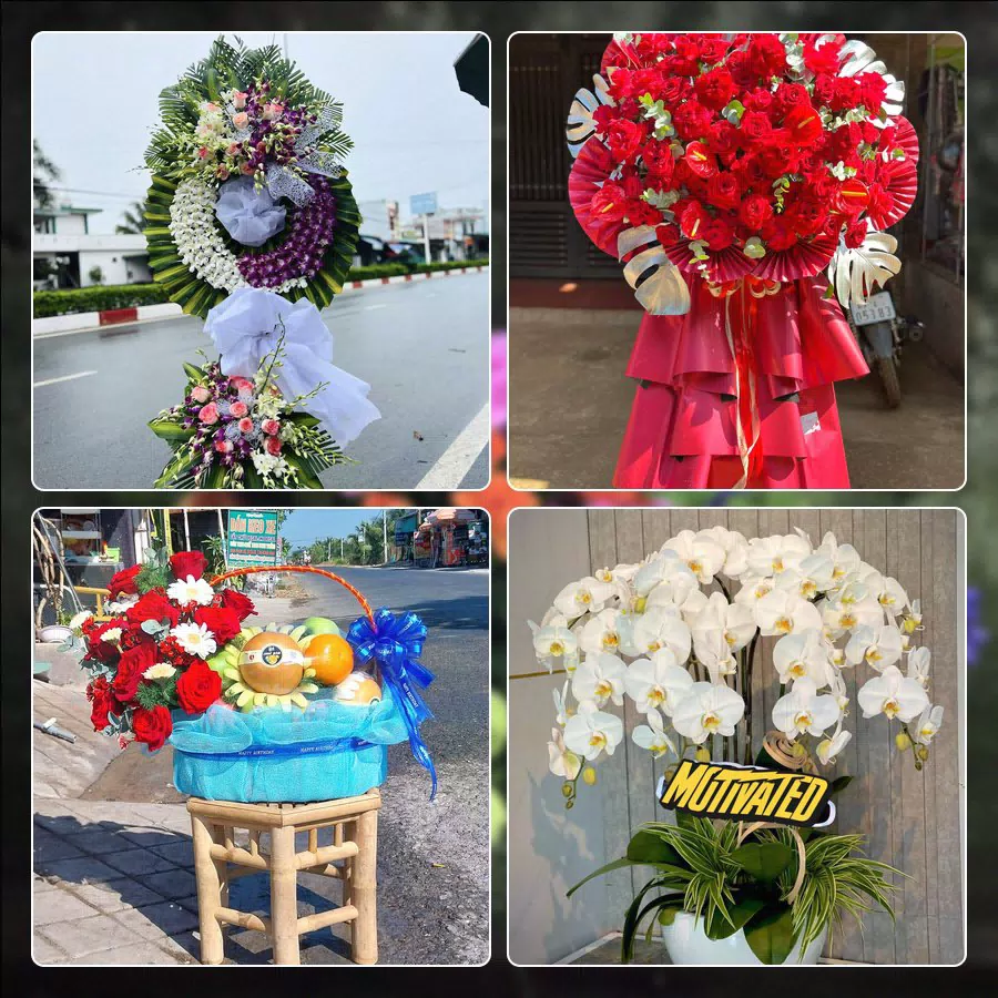 Shop Hoa Tươi Phường Tân Sơn Nhì - Thành phố Hồ Chí Minh