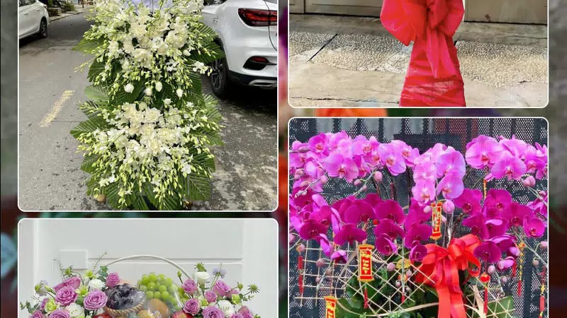 Shop Hoa Tươi Phường Hải Châu - Thành phố Đà Nẵng