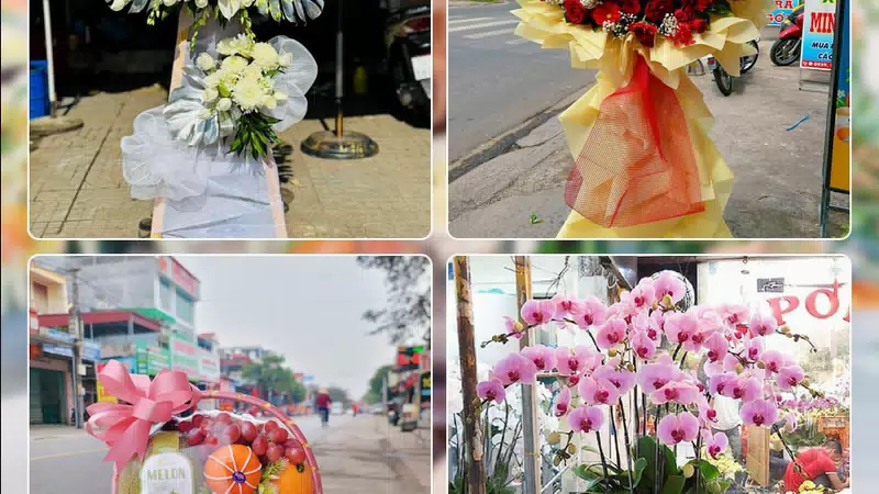 Shop Hoa Tươi Phường An Phú - Thành phố Hồ Chí Minh