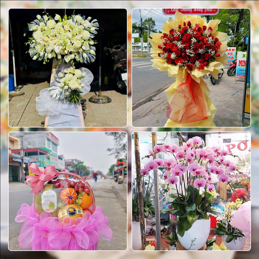 Shop Hoa Tươi Phường An Phú - Thành phố Hồ Chí Minh