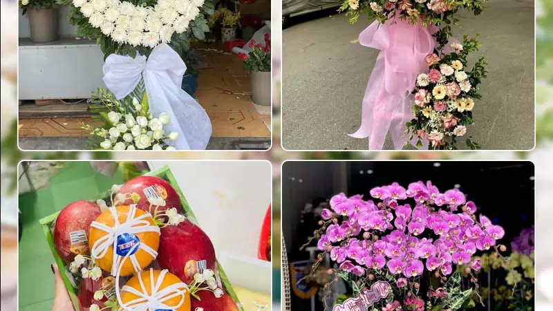 Shop Hoa Tươi Phường Tân Hòa - Thành phố Hồ Chí Minh