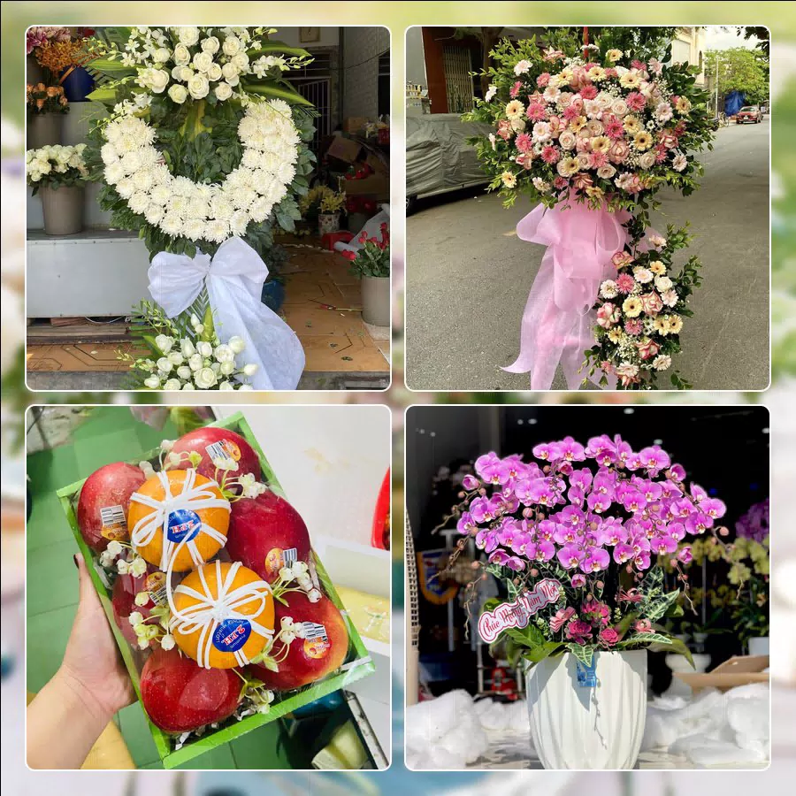 Shop Hoa Tươi Phường Tân Hòa - Thành phố Hồ Chí Minh