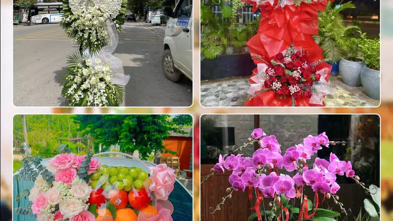 Shop Hoa Tươi Phường Minh Phụng - Thành phố Hồ Chí Minh