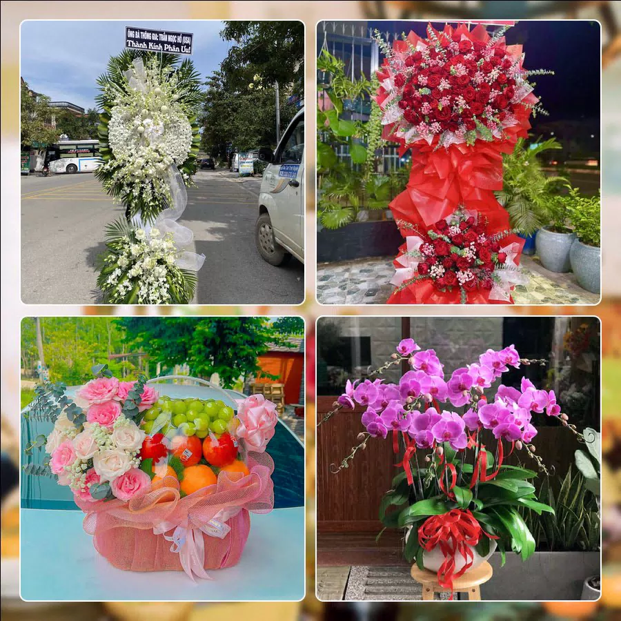Shop Hoa Tươi Phường Minh Phụng - Thành phố Hồ Chí Minh