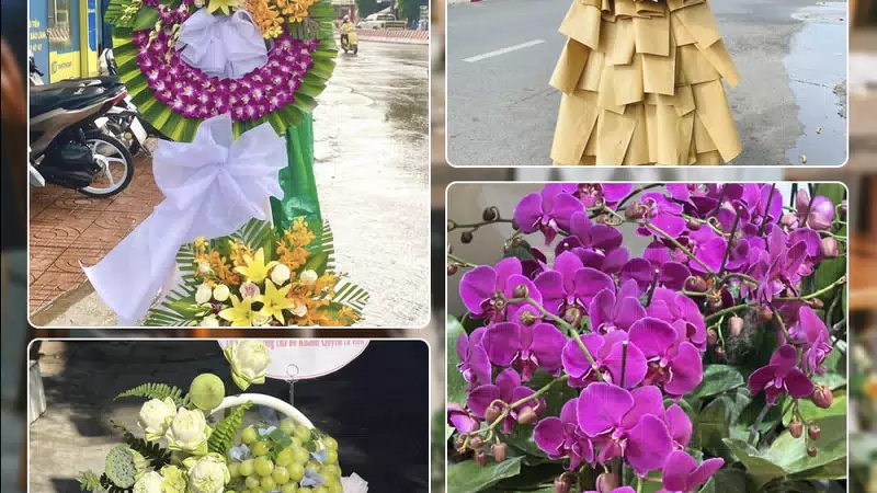 Shop Hoa Tươi Phường Thanh Xuân - Thành phố Hà Nội