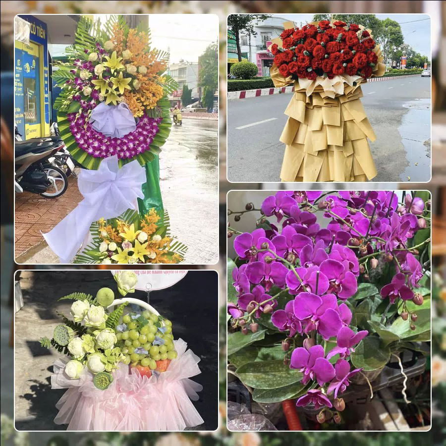 Shop Hoa Tươi Phường Thanh Xuân - Thành phố Hà Nội