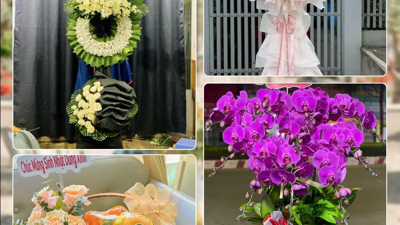 Shop Hoa Tươi Phường Phú Thạnh - Thành phố Hồ Chí Minh