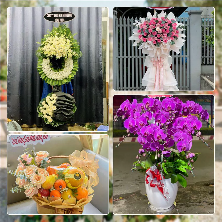 Shop Hoa Tươi Phường Phú Thạnh - Thành phố Hồ Chí Minh