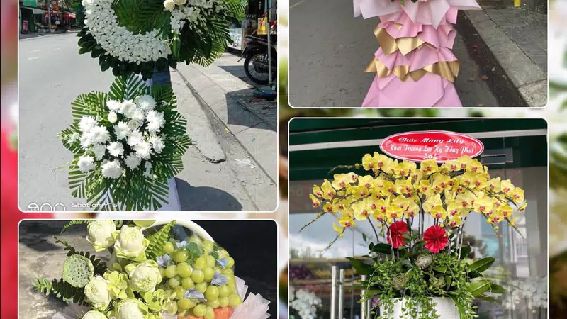 Shop Hoa Tươi Phường Nhiêu Lộc - Thành phố Hồ Chí Minh