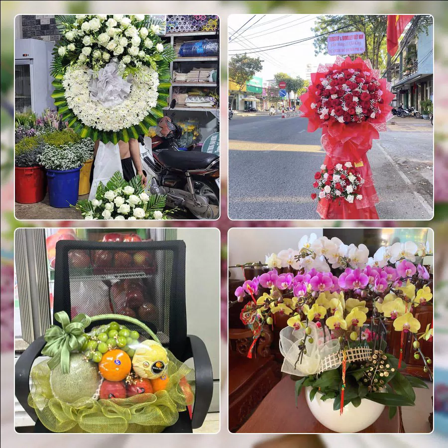 Shop Hoa Tươi Phường Giảng Võ - Thành phố Hà Nội