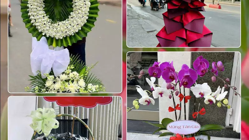 Shop Hoa Tươi Phường Hòa Hưng - Thành phố Hồ Chí Minh