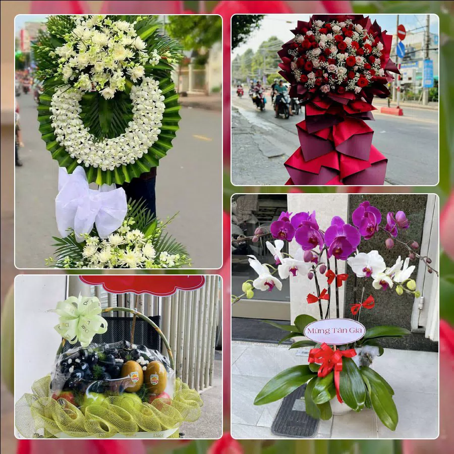 Shop Hoa Tươi Phường Hòa Hưng - Thành phố Hồ Chí Minh