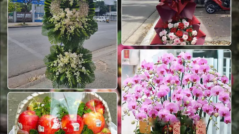 Shop Hoa Tươi Phường Tân Bình - Thành phố Hồ Chí Minh