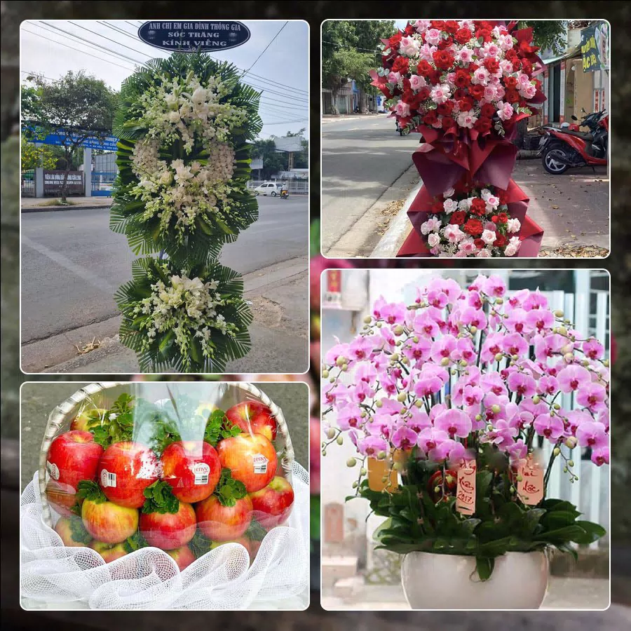 Shop Hoa Tươi Phường Tân Bình - Thành phố Hồ Chí Minh