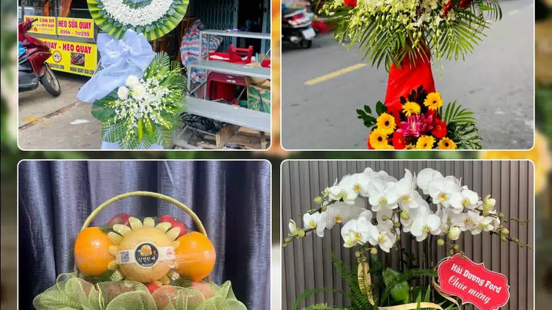 Shop Hoa Tươi Phường Từ Liêm - Thành phố Hà Nội
