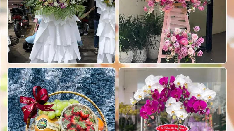 Shop Hoa Tươi Phường Phú Lâm - Thành phố Hồ Chí Minh