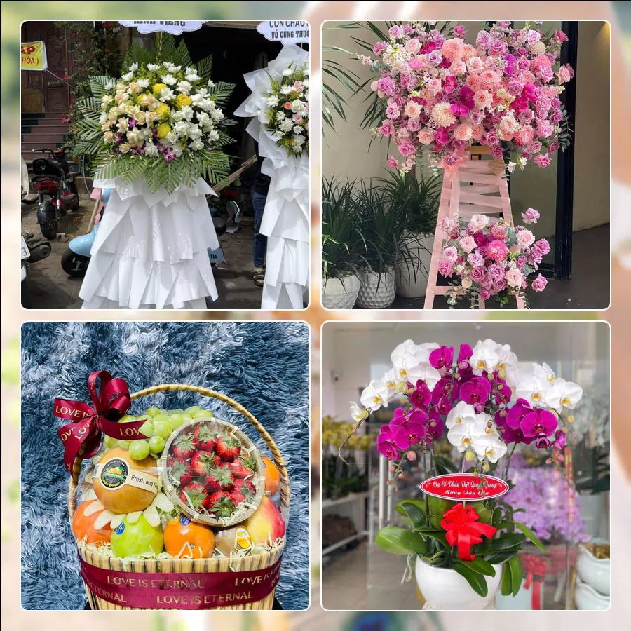 Shop Hoa Tươi Phường Phú Lâm - Thành phố Hồ Chí Minh