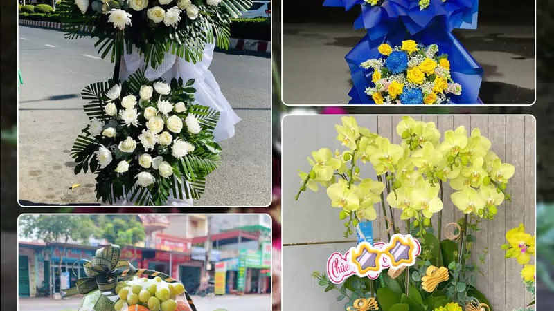 Shop Hoa Tươi Phường Chợ Lớn - Thành phố Hồ Chí Minh