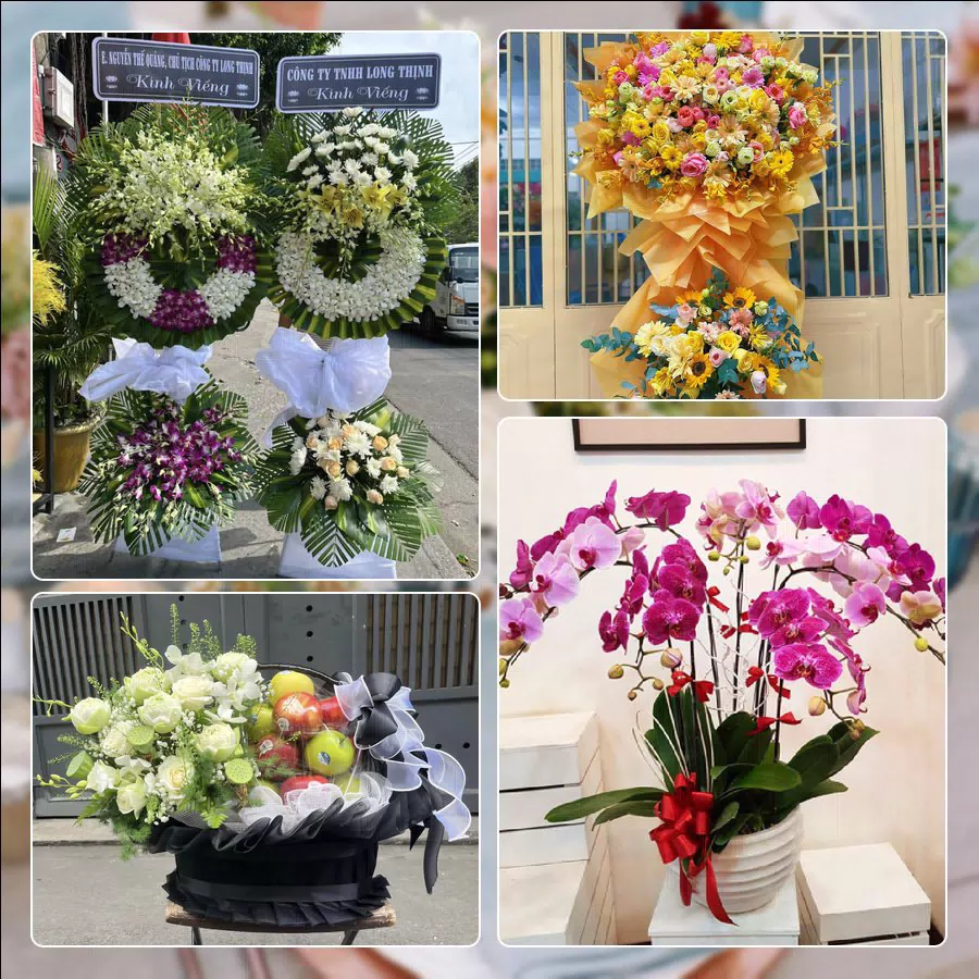 Shop Hoa Tươi Phường Bình Trưng - Thành phố Hồ Chí Minh