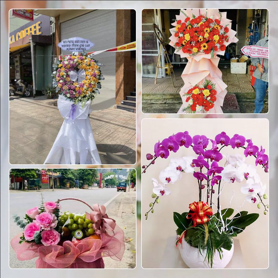 Mẫu hoa tươi cắm mới tại shop hoa Phường Bình Trưng