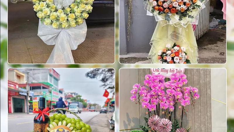 Shop Hoa Tươi Phường Hai Bà Trưng - Thành phố Hà Nội