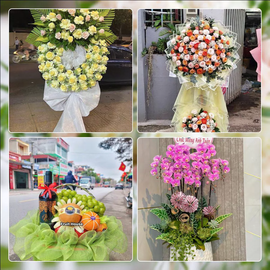 Shop Hoa Tươi Phường Hai Bà Trưng - Thành phố Hà Nội