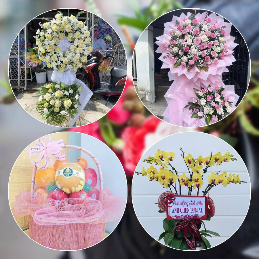 Shop Hoa Tươi Phường Hồng Bàng - Thành phố Hải Phòng