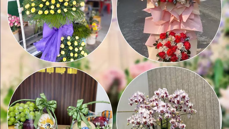 Shop Hoa Tươi Phường Lái Thiêu - Thành phố Hồ Chí Minh