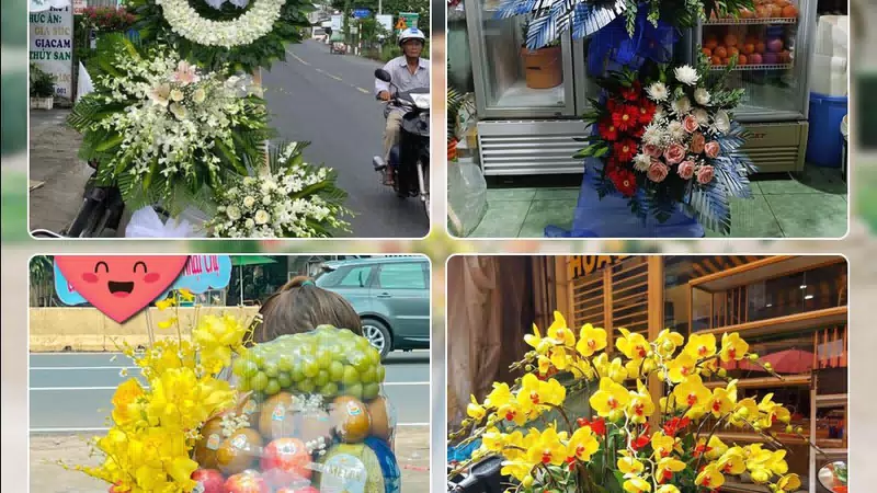 Shop Hoa Tươi Phường Bình Hòa - Thành phố Hồ Chí Minh