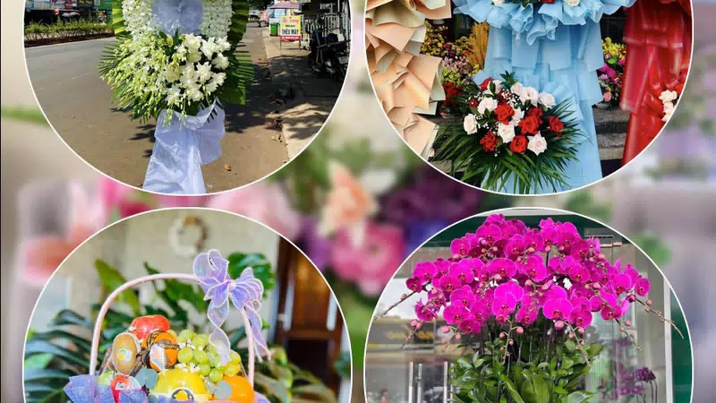Shop Hoa Tươi Phường Đống Đa - Thành phố Hà Nội