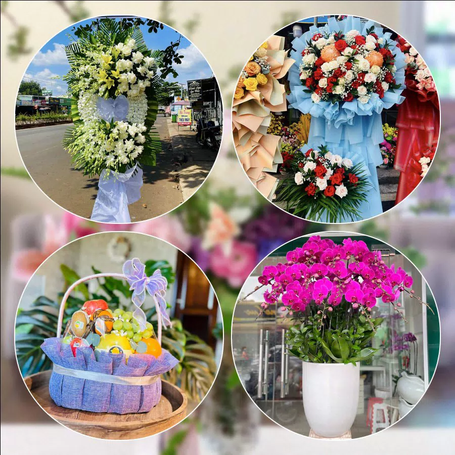 Shop Hoa Tươi Phường Đống Đa - Thành phố Hà Nội
